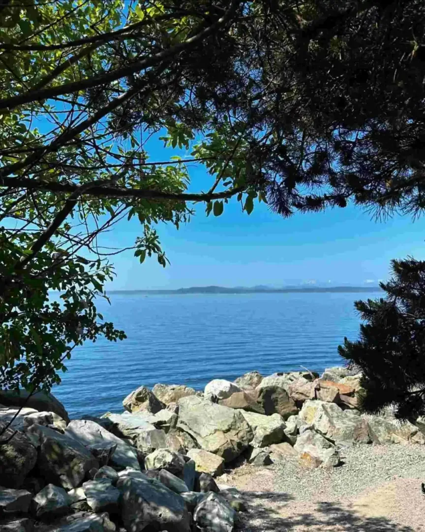View of Puget Sound with rocky shore, framed by green trees at Myrtle Edwards Park, Belltown Seattle.