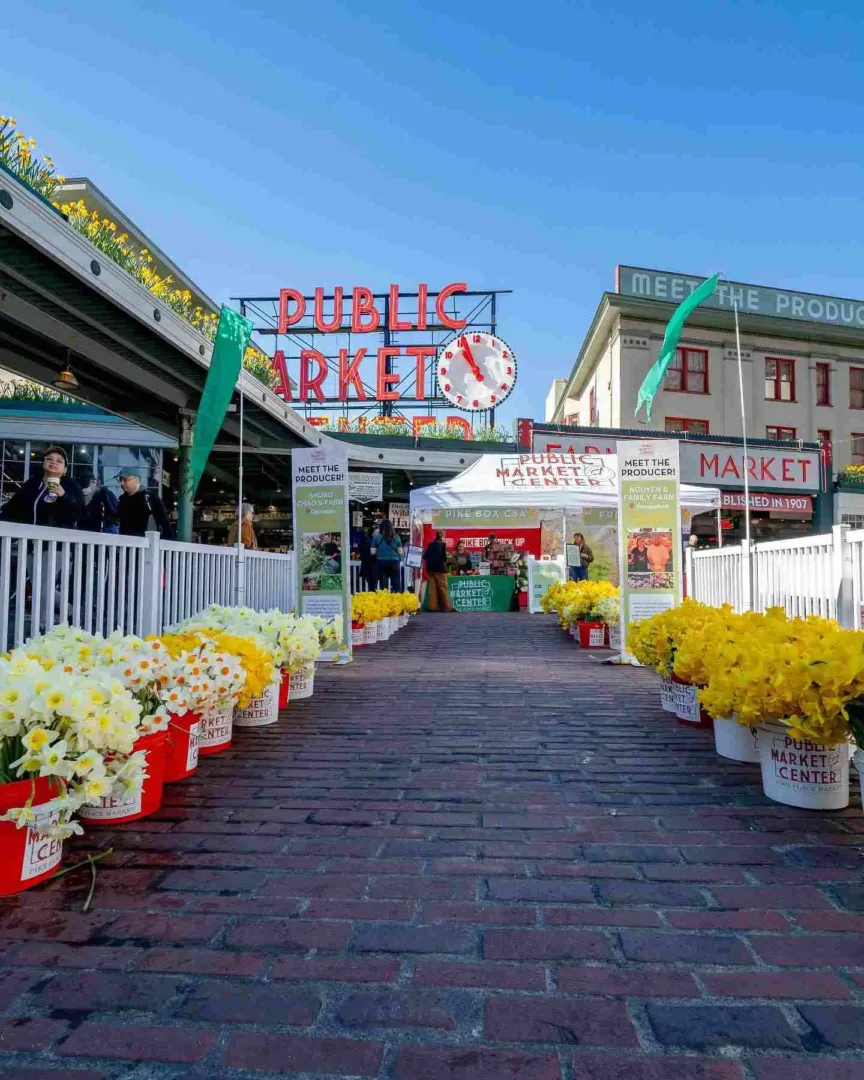 Pike Place Public Market in Seattle in April, lined with buckets of bright yellow and white daffodils.