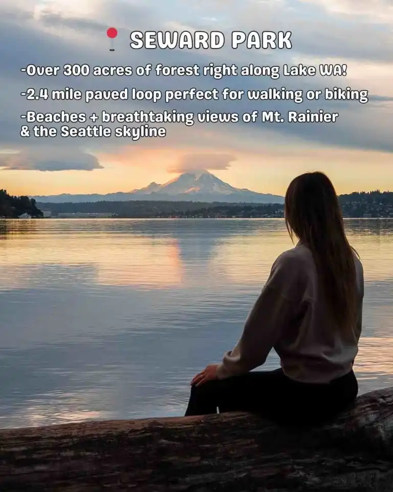 A person watches the sunset over Mount Rainier from Seward Park, among the tranquil Seattle beaches.