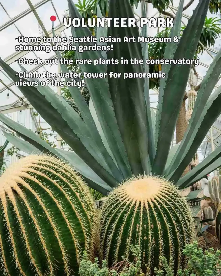 Volunteer Park Seattle