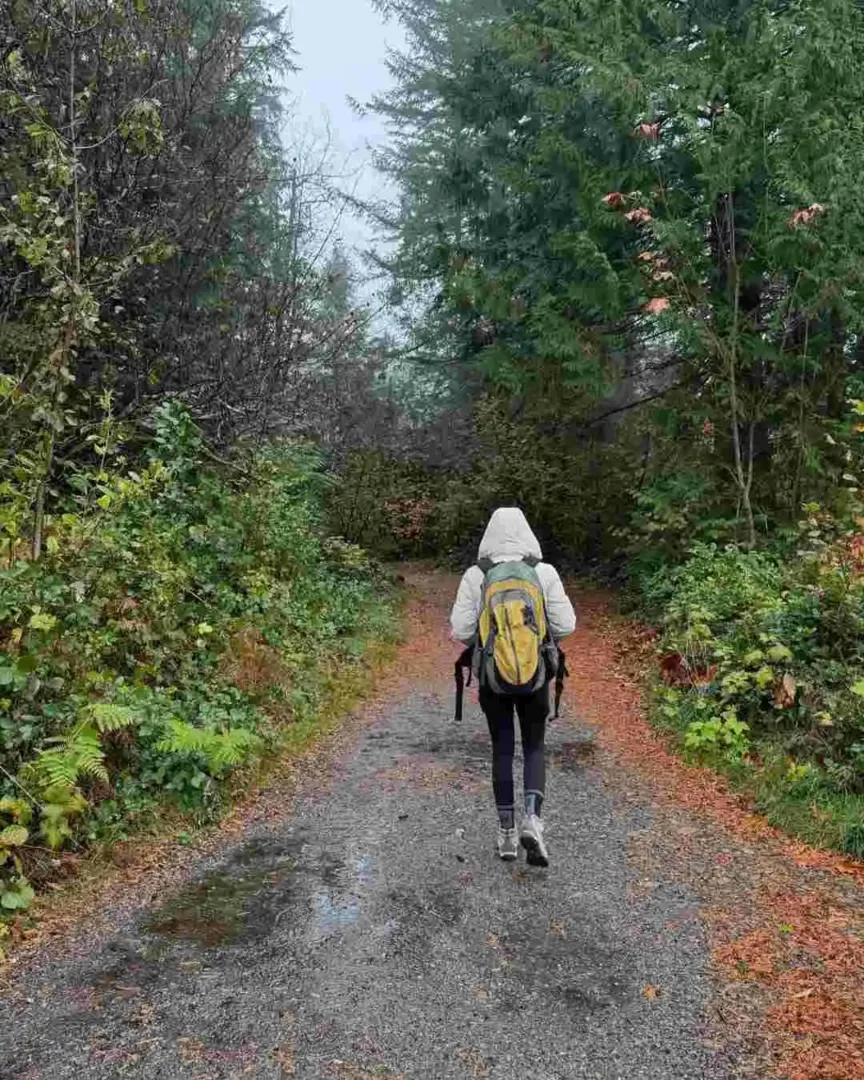 A scenic rocky path leading toward rugged mountain peaks, a highlight among popular Seattle hiking trails.