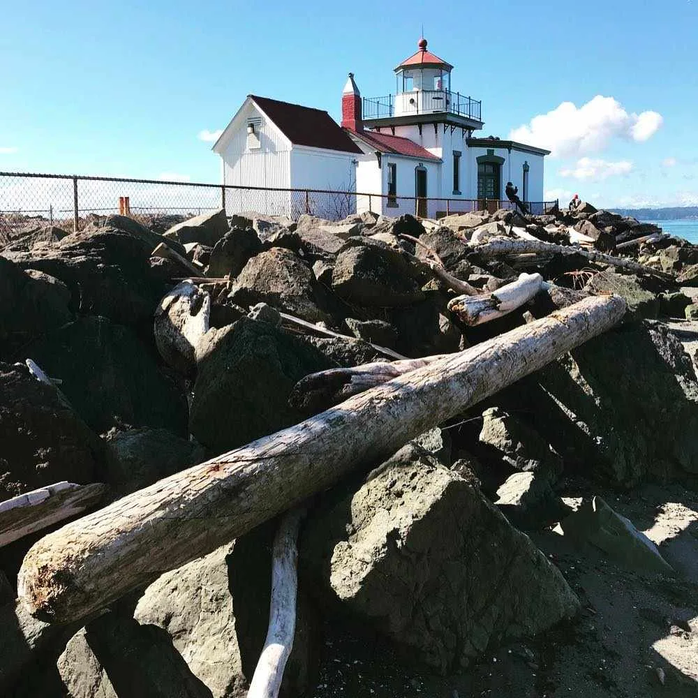 Discovery Park Seattle Reviews: What Visitors Are Saying