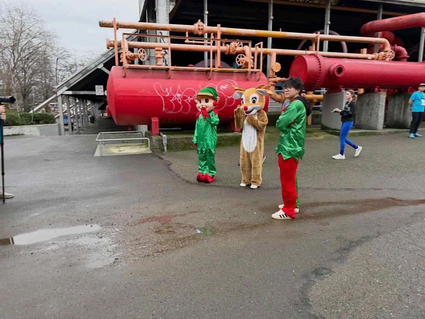 Gas Works Park Events: What's Happening Throughout the Year
