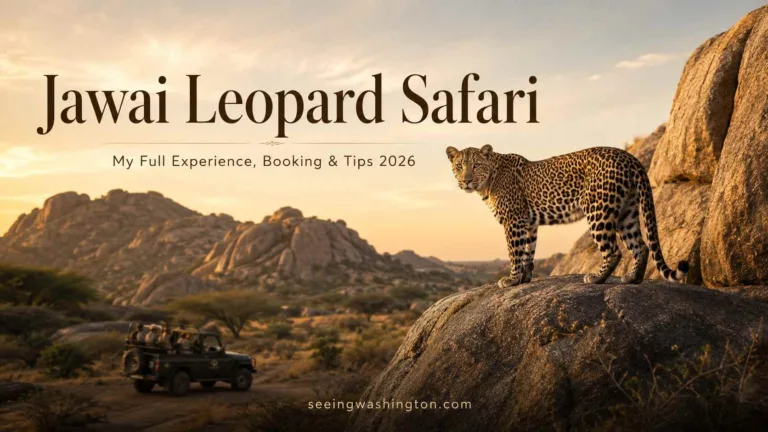 Jawai Leopard Safari My Full Experience Booking & Tips 2026
