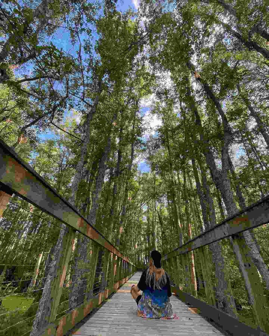 Visit Conservation Park