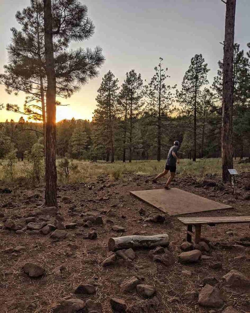 Play Disc Golf at McPherson Park