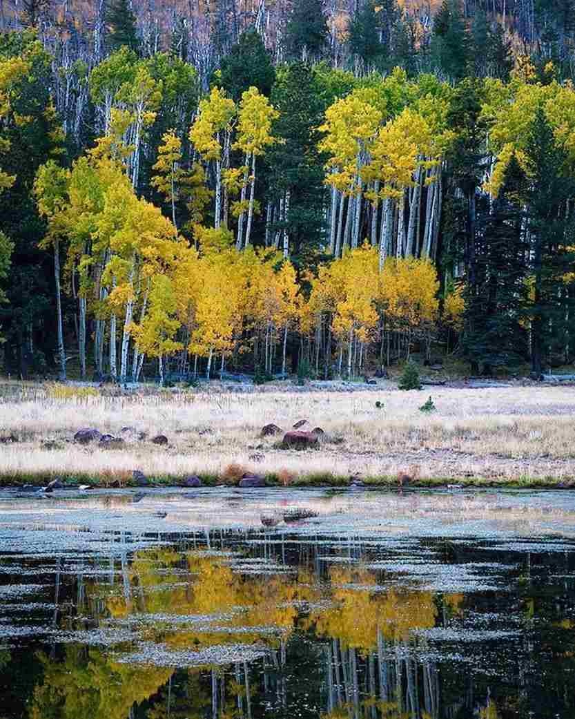 Hike to Lockett Meadow