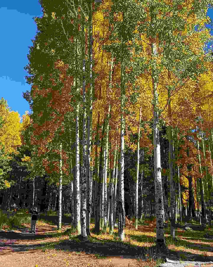Visit Aspen Corner