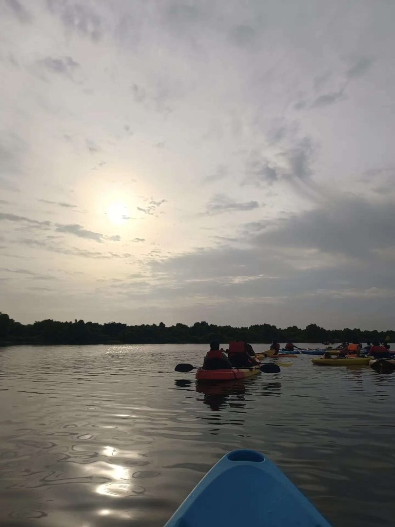 Paddle the Mangroves