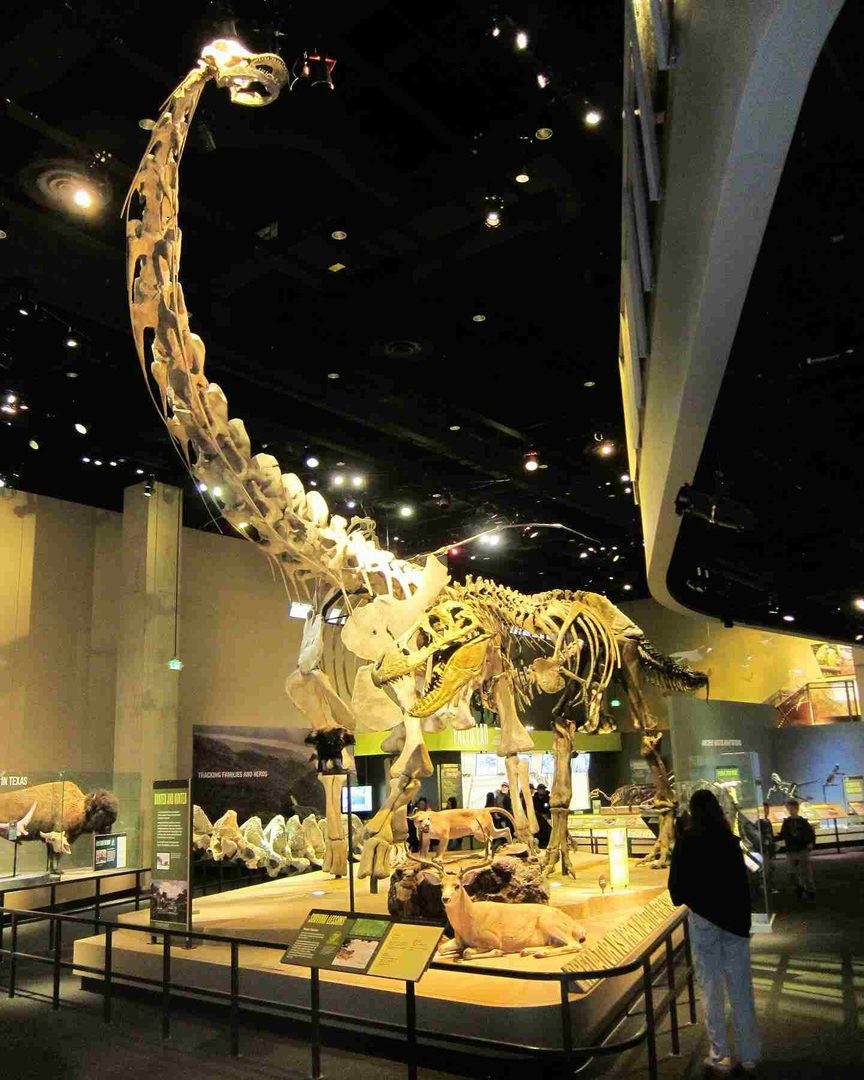 Explore Museum of Discovery