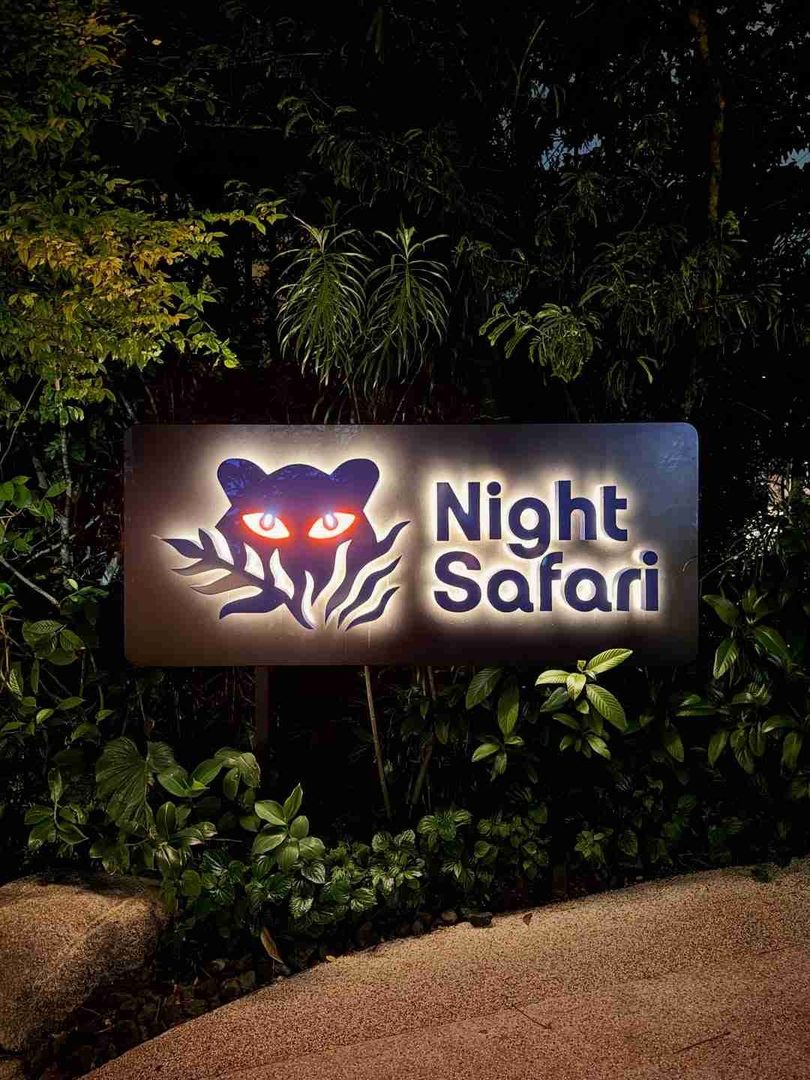 Experience the Night Safari