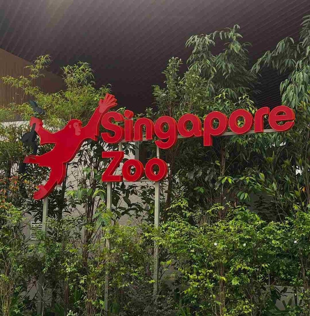 Visit Singapore Zoo