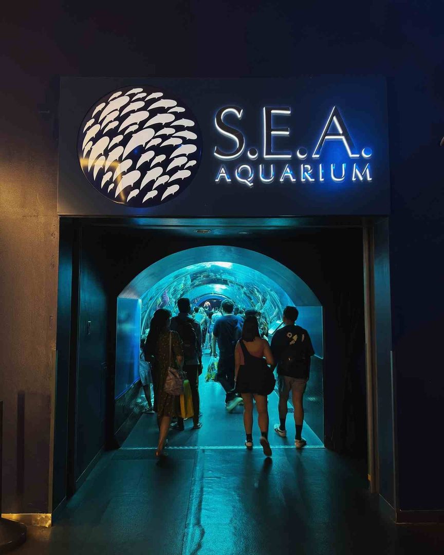 Explore the SEA Aquarium