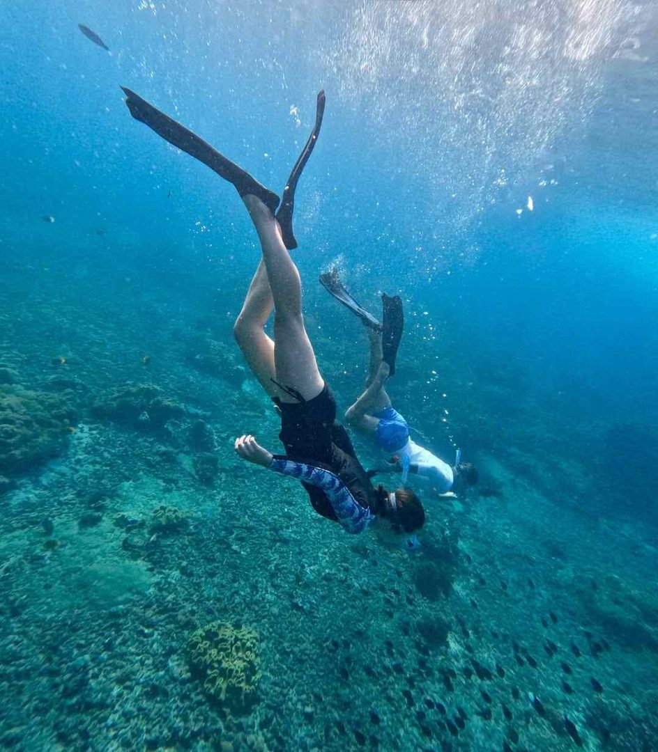 Go Snorkeling
