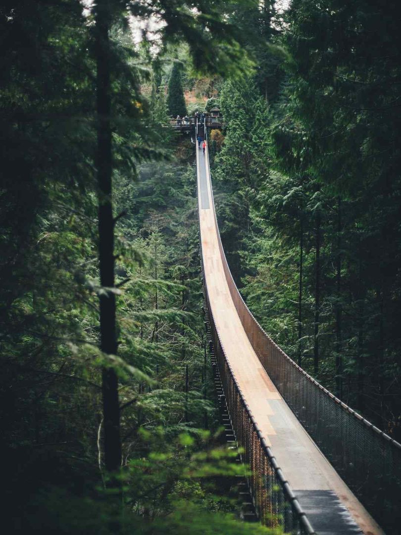 Walk Across Capilano Suspension Bridge